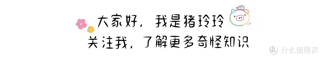 运动耳机新选择，双轴调节，开放不漏音的TOZO Open开放式耳机开箱
