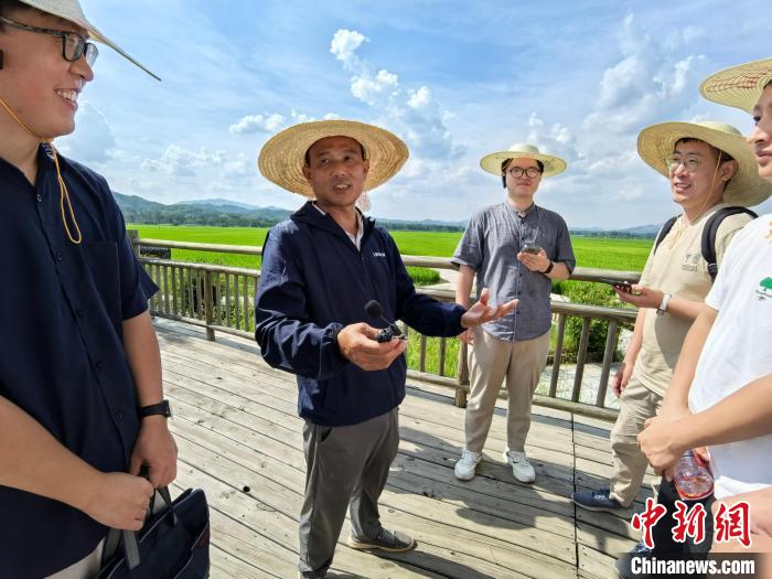 长征路上学党史丨“红色小上海”福建长汀的生态奇迹