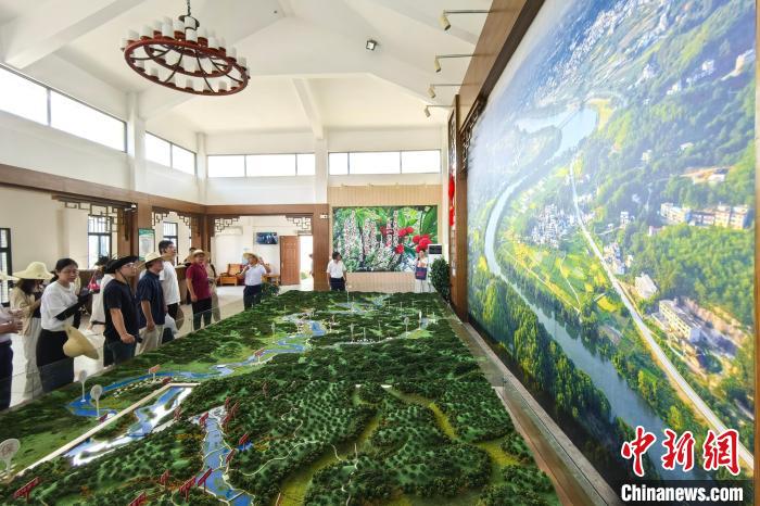 长征路上学党史丨“红色小上海”福建长汀的生态奇迹