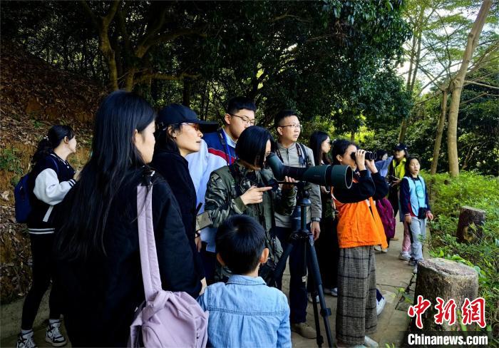 第五届广东省森林文化周收官 推动绿色惠民