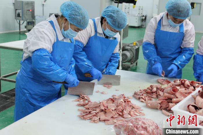 宁夏彭阳：振兴路上“牛劲”十足