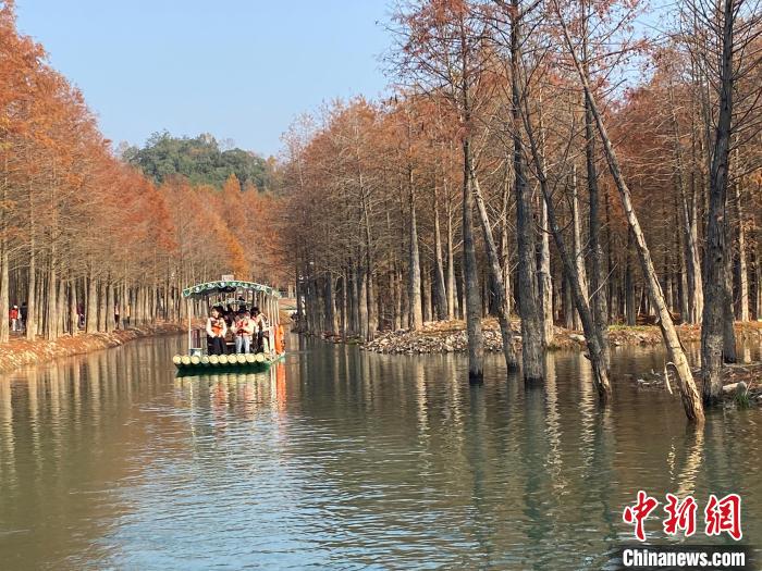 （走进中国乡村）咖啡店“奔村”打开中国乡村旅游新场景